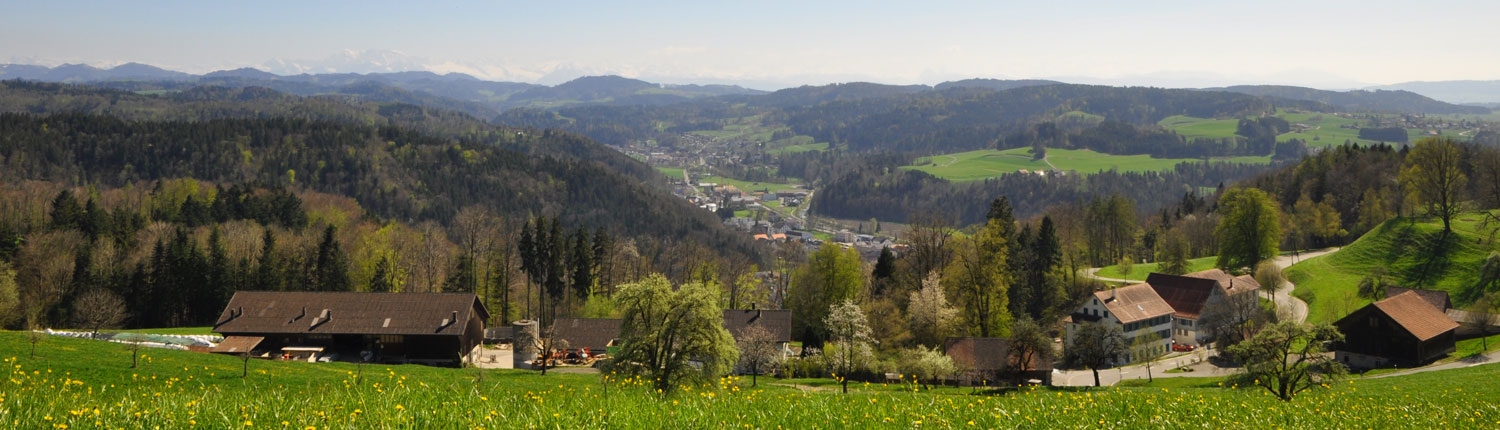 Panorama Fuster Frühling