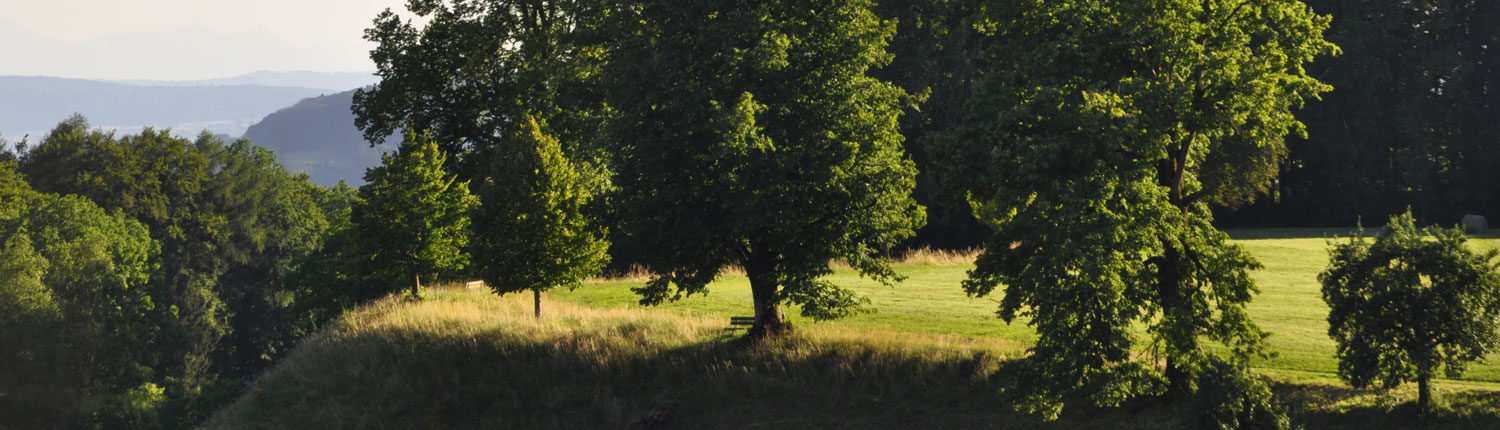 Panorama Fuster Sitzbank