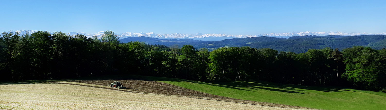 Panorama Sommer Acker Pflügen Traktor